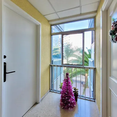 Del Drago Apartamento Puerto de la Cruz (Tenerife)